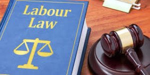 Labor and Employment Law